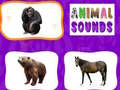                                                                       Animal Sounds ﻞﯿﮭﮐ