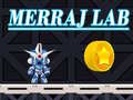                                                                       Merraj Lab ﻞﯿﮭﮐ