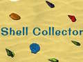                                                                       Shell Collector ﻞﯿﮭﮐ