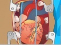                                                                       Heart Surgery ﻞﯿﮭﮐ