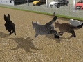                                                                       Run Cat Cat Race ﻞﯿﮭﮐ
