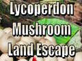                                                                       Lycoperdon Mushroom Land Escape ﻞﯿﮭﮐ