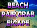                                                                       Beach Crab Pair Escape  ﻞﯿﮭﮐ