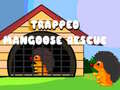                                                                       Trapped Mangoose Rescue ﻞﯿﮭﮐ