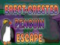                                                                       Erect Crested Penguin Escape ﻞﯿﮭﮐ