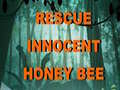                                                                       Rescue Innocent Honey Bee  ﻞﯿﮭﮐ