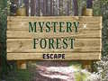                                                                       Mystery Forest ﻞﯿﮭﮐ