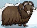                                                                       Rescue The Musk Ox ﻞﯿﮭﮐ
