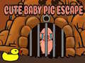                                                                       Cute baby Pig escape ﻞﯿﮭﮐ