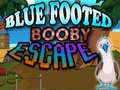                                                                       Blue Footed Booby Escape ﻞﯿﮭﮐ