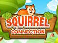                                                                       Squirrel Connection ﻞﯿﮭﮐ