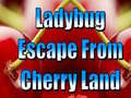                                                                       Ladybug Escape From Cherry Land ﻞﯿﮭﮐ