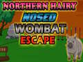                                                                       Northern hairy nosed wombat Escape ﻞﯿﮭﮐ