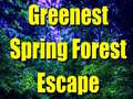                                                                       Greenest Spring Forest Escape  ﻞﯿﮭﮐ