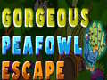                                                                       Gorgeous Peafowl Escape ﻞﯿﮭﮐ