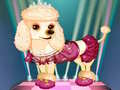                                                                       My Cute Dog Daisy ﻞﯿﮭﮐ