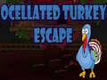                                                                       Ocellated Turkey Escape ﻞﯿﮭﮐ