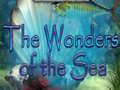                                                                       New Sea Wonders ﻞﯿﮭﮐ