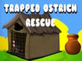                                                                       Trapped Ostrich Rescue ﻞﯿﮭﮐ