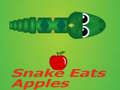                                                                      Snake Eats Apple ﻞﯿﮭﮐ