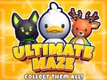                                                                       Ultimate Maze! Collect Them All! ﻞﯿﮭﮐ