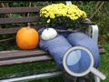                                                                       Autumn Garden Find 100 butterflies ﻞﯿﮭﮐ