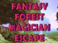                                                                       Fantasy Forest Magician Escape ﻞﯿﮭﮐ