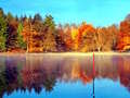                                                                       Fishing Simulator Online ﻞﯿﮭﮐ