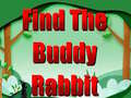                                                                       Find The Buddy Rabbit ﻞﯿﮭﮐ