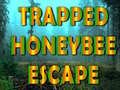                                                                       Trapped Honeybee Escape ﻞﯿﮭﮐ