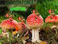                                                                       Mushroom Forest Adventure ﻞﯿﮭﮐ
