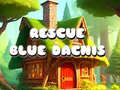                                                                       Rescue Blue Dacnis ﻞﯿﮭﮐ