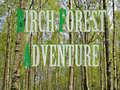                                                                       Birch Forest Adventure ﻞﯿﮭﮐ