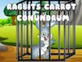                                                                       Rabbits Carrot Conundrum ﻞﯿﮭﮐ