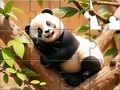                                                                       Jigsaw Puzzle: Panda On Tree ﻞﯿﮭﮐ