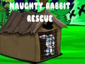                                                                       Naughty Rabbit Rescue ﻞﯿﮭﮐ