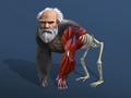                                                                       Idle Evolution From Cell To Human ﻞﯿﮭﮐ