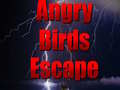                                                                       Angry Birds Escape ﻞﯿﮭﮐ
