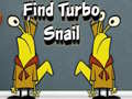                                                                       Find Turbo Snail ﻞﯿﮭﮐ