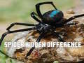                                                                       Spider Hidden Difference ﻞﯿﮭﮐ