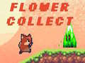                                                                       Flower Collect ﻞﯿﮭﮐ