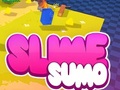                                                                       Sumo Slime 3D ﻞﯿﮭﮐ