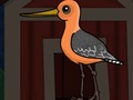                                                                       Cute Godwit Escape ﻞﯿﮭﮐ