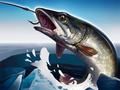                                                                       Ice Fishing 3D ﻞﯿﮭﮐ