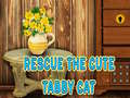                                                                       Rescue The Cute Tabby Cat ﻞﯿﮭﮐ