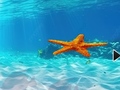                                                                       Escape From Underwater Starfish ﻞﯿﮭﮐ