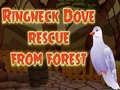                                                                       Ringneck Dove Rescue From Forest ﻞﯿﮭﮐ