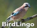                                                                       BirdLingo ﻞﯿﮭﮐ