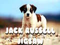                                                                       Jack Russell Jigsaw ﻞﯿﮭﮐ