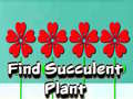                                                                       Find Succulent Plant ﻞﯿﮭﮐ